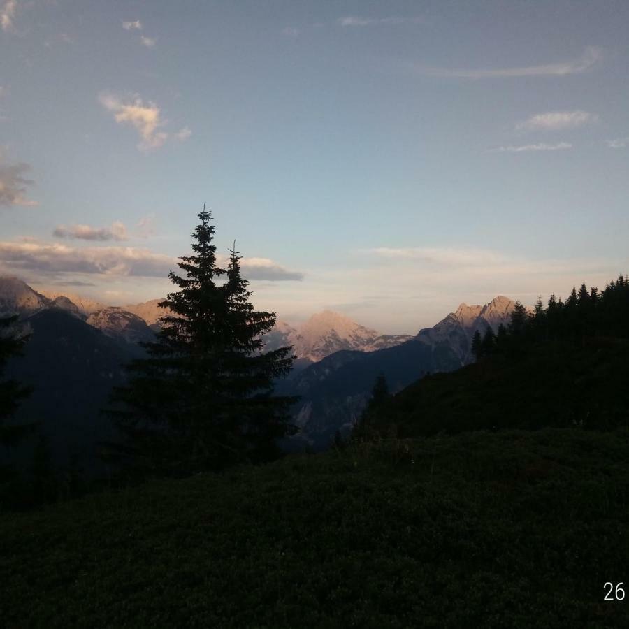 Da Nicola E Laura Apartman Santo Stefano di Cadore Kültér fotó