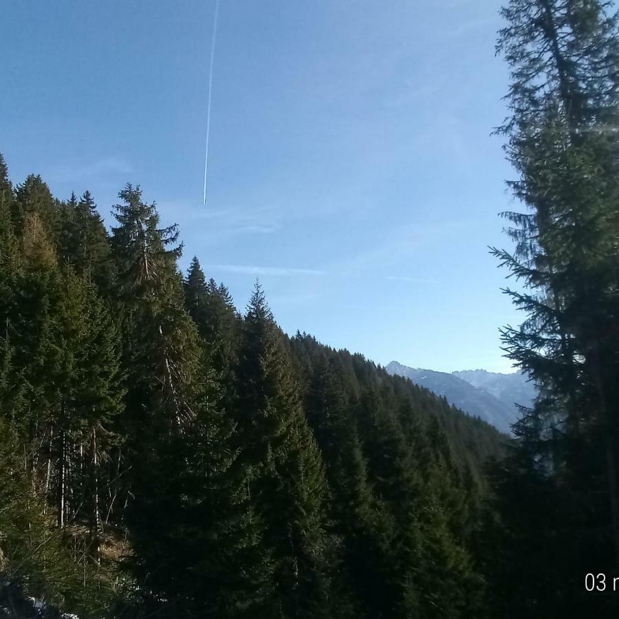 Da Nicola E Laura Apartman Santo Stefano di Cadore Kültér fotó