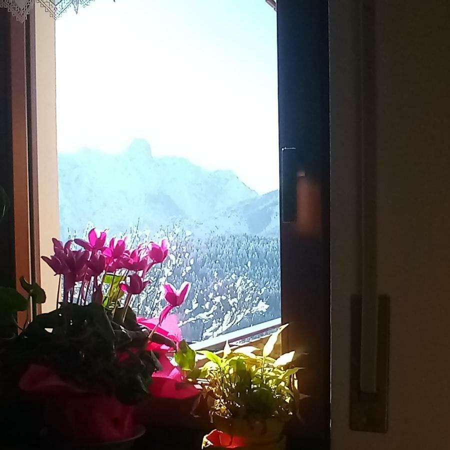 Da Nicola E Laura Apartman Santo Stefano di Cadore Kültér fotó